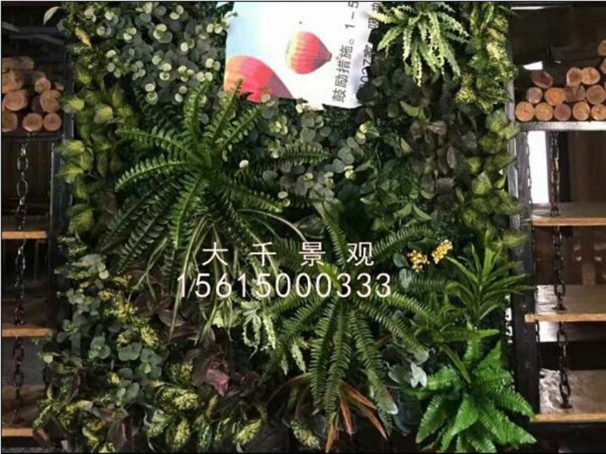 点击查看详细信息<br>标题：绿植墙 阅读次数：930